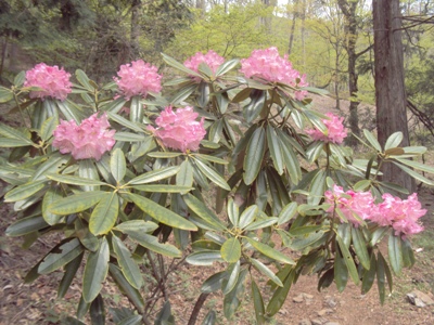 �J�ɂ����������ɂ��������E���̊X�Ȗ�