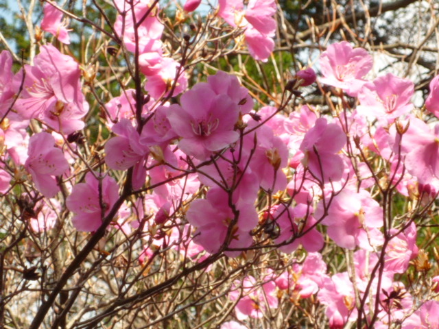 �J�ɂ����������ɂ��������E���̊X�Ȗ�