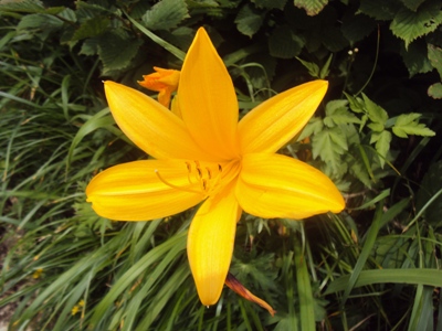 �J�ɂ����������ɂ��������E���̊X�Ȗ�