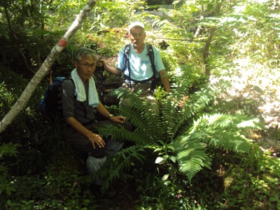 �J�ɂ����������ɂ��������E���̊X�Ȗ�