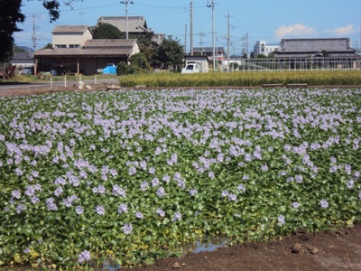 �J�ɂ����������ɂ��������E���̊X�Ȗ�