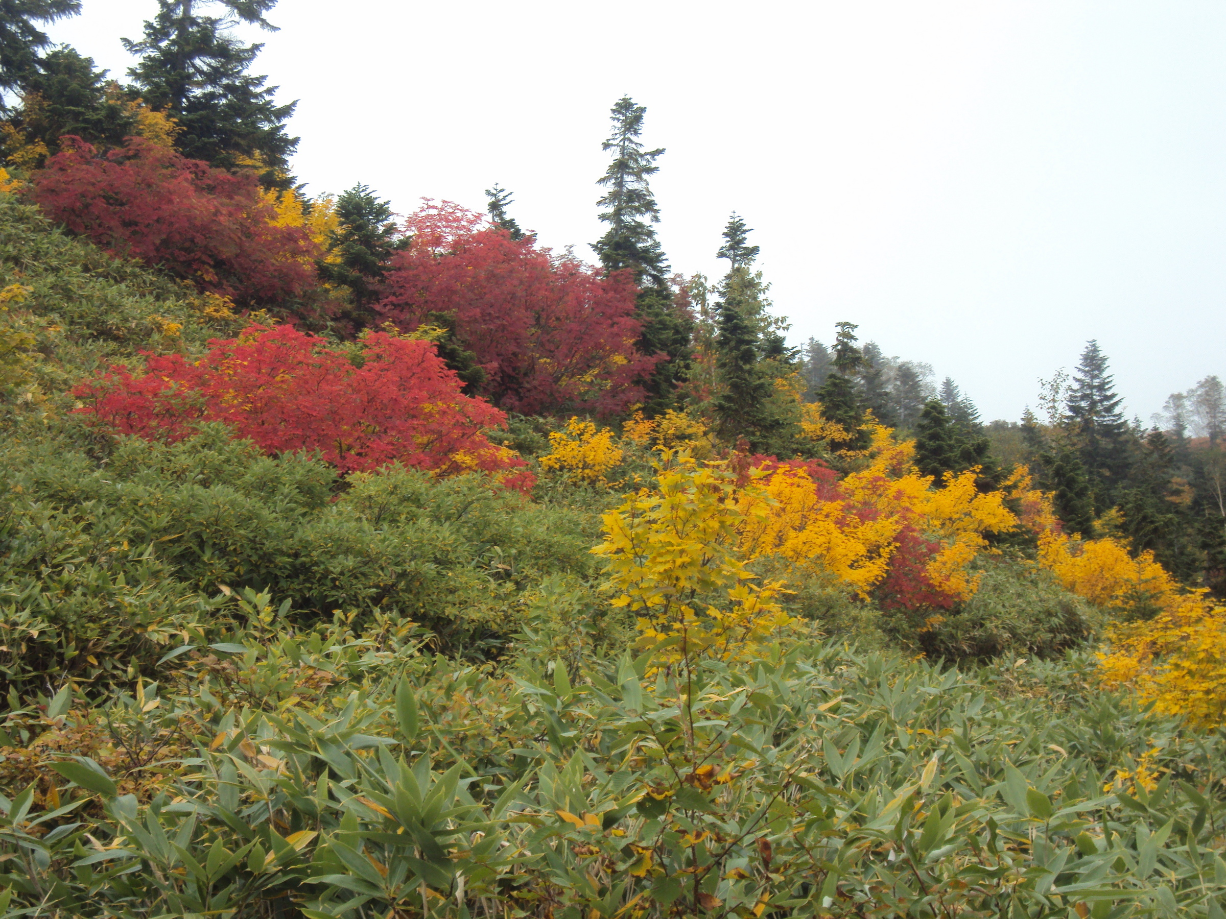 �J�ɂ����������ɂ��������E���̊X�Ȗ�