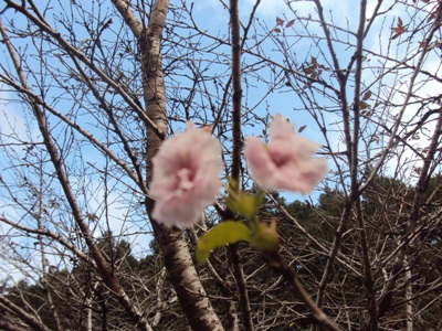 �J�ɂ����������ɂ��������E���̊X�Ȗ�