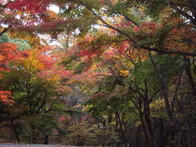 �J�ɂ����������ɂ��������E���̊X�Ȗ�