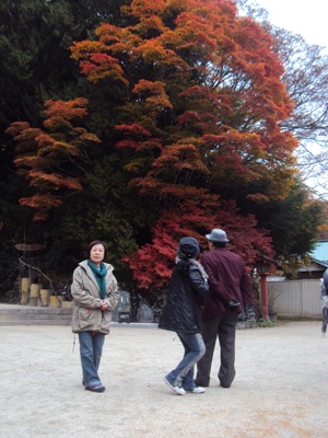 �J�ɂ����������ɂ��������E���̊X�Ȗ�