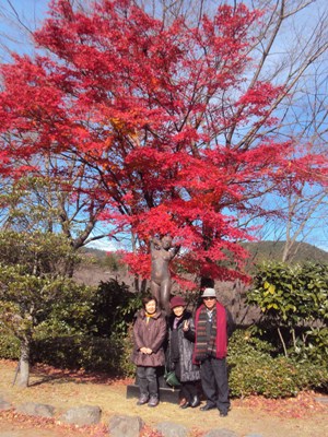 �J�ɂ����������ɂ��������E���̊X�Ȗ�