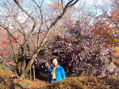 �J�ɂ����������ɂ��������E���̊X�Ȗ�