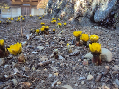 �J�ɂ����������ɂ��������E���̊X�Ȗ�