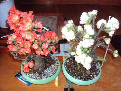 �J�ɂ����������ɂ��������E���̊X�Ȗ�