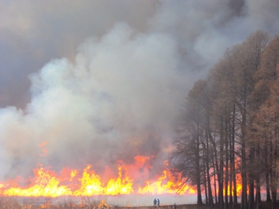 �J�ɂ����������ɂ��������E���̊X�Ȗ�