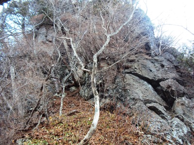 �J�ɂ����������ɂ��������E���̊X�Ȗ�