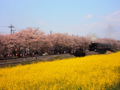 �J�ɂ����������ɂ��������E���̊X�Ȗ�