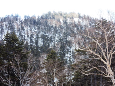 �J�ɂ����������ɂ��������E���̊X�Ȗ�