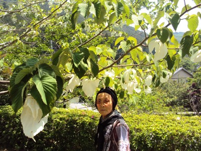 �J�ɂ����������ɂ��������E���̊X�Ȗ�