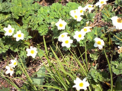 �J�ɂ����������ɂ��������E���̊X�Ȗ�