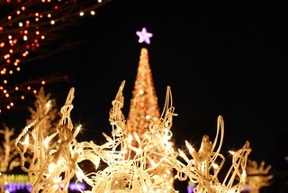 ��Ԃ̋����A���z�̐Î�Q