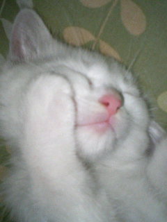 ���₱�̕���