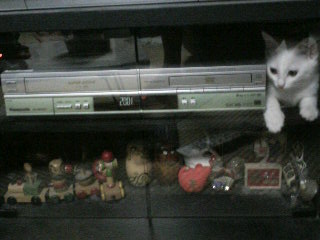 ���₱�̕���