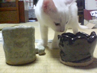 ���₱�̕���