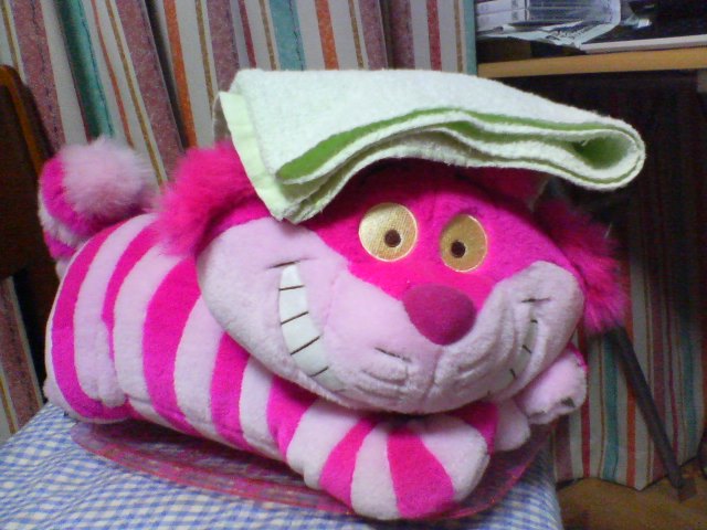 ���₱�̕���