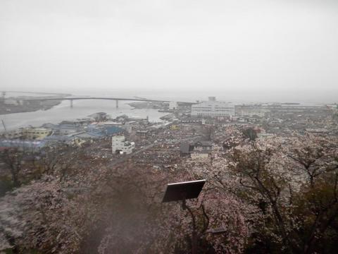 �N���t���l�́h�[�`���u���v�h