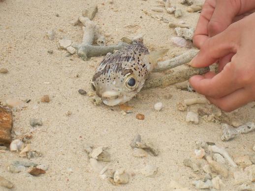 �n���}�}�A�������s���I