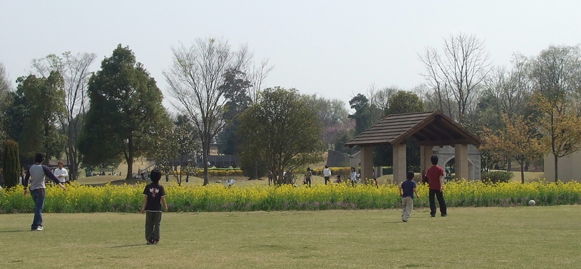 �n���}�}�A�������s���I