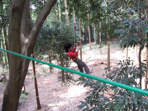 �n���}�}�A�������s���I