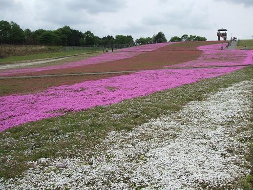 �n���}�}�A�������s���I