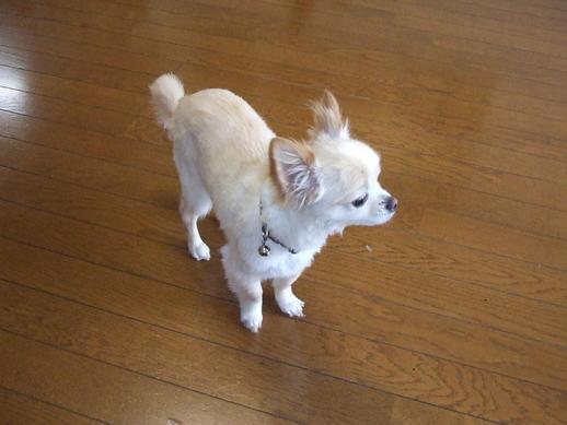 �n���}�}�A�������s���I