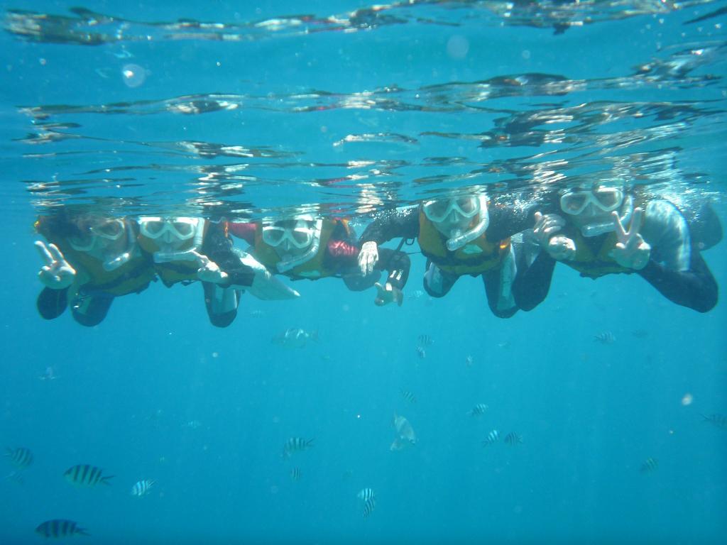 �n���}�}�A�������s���I