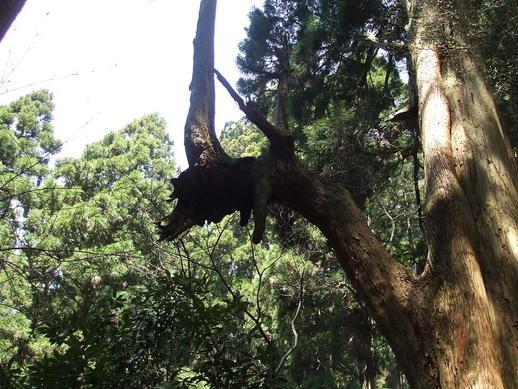 �n���}�}�A�������s���I