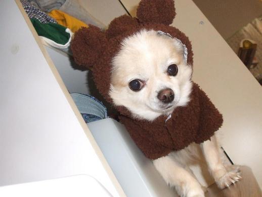 �n���}�}�A�������s���I