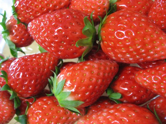 �Ȗ؎s�F��s���_���J�݂��ē�