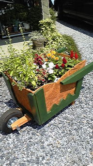 �I�V�����ȕ����Â���͕ǎ��Ō��܂�