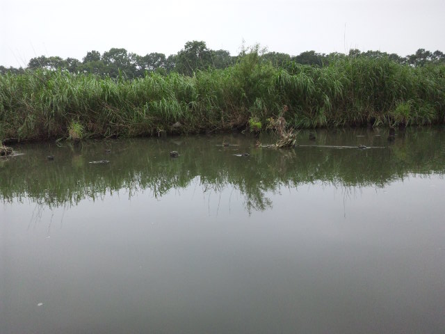 �����炿���̂ЂƂ育�ƁI