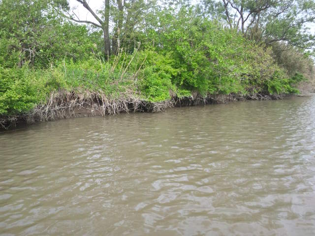 �����炿���̂ЂƂ育�ƁI