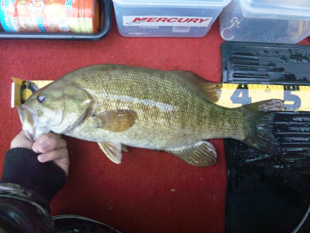 �����炿���̂ЂƂ育�ƁI