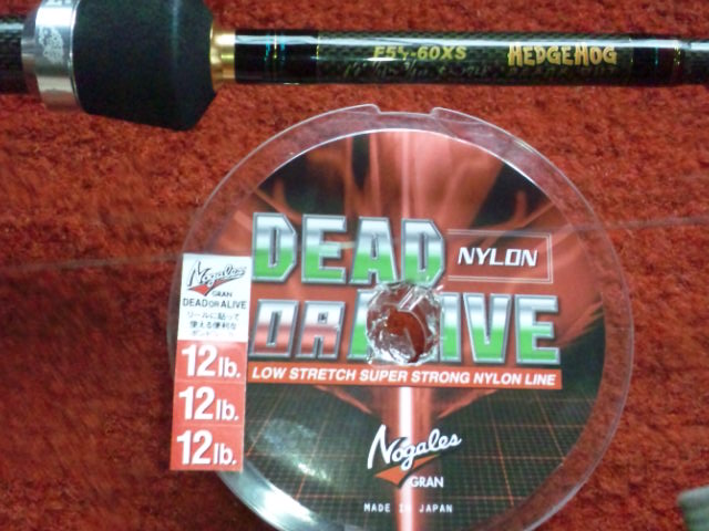 �����炿���̂ЂƂ育�ƁI