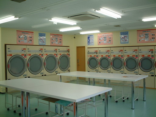 �R�C�������h���[�}�}�X