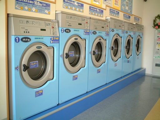 �R�C�������h���[�}�}�X