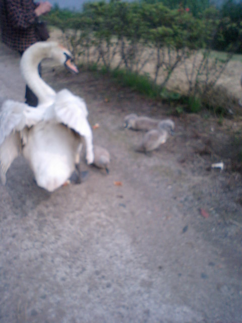 �哇�܂񂶂イ��