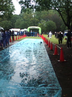 �܂邶��@�܂邶��@����܂���