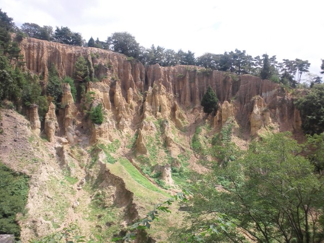 �܂邶��@�܂邶��@����܂���