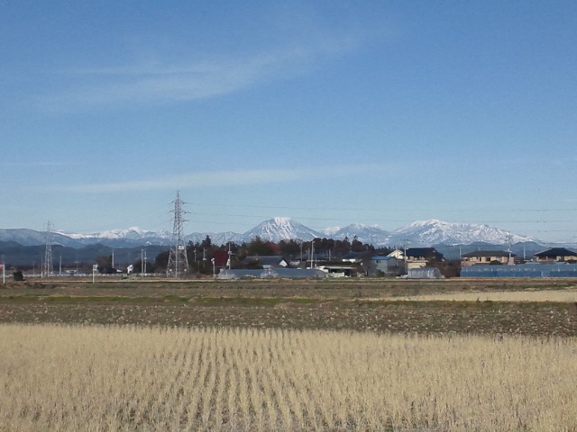 �܂邶��@�܂邶��@����܂���