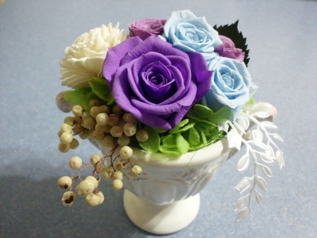 �܂邶��@�܂邶��@����܂���