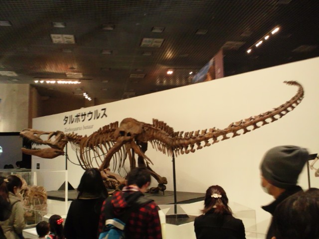 �܂邶��@�܂邶��@����܂���