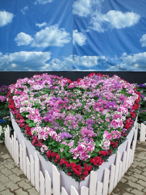 �܂邶��@�܂邶��@����܂���