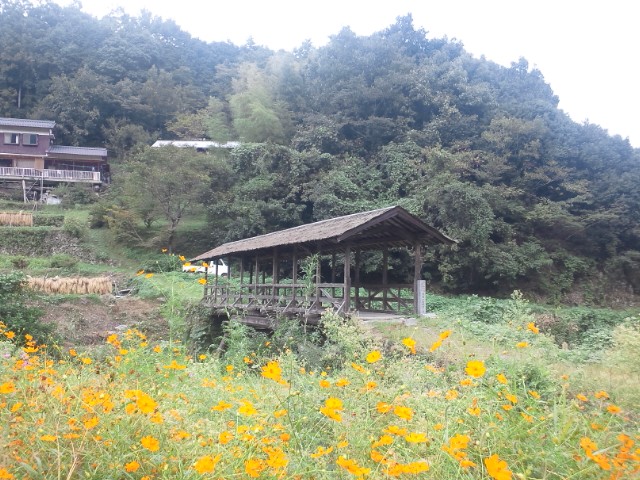 �܂邶��@�܂邶��@����܂���