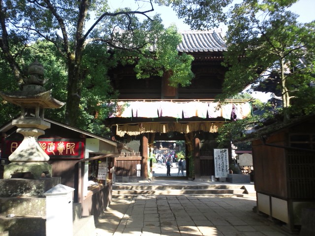 �܂邶��@�܂邶��@����܂���